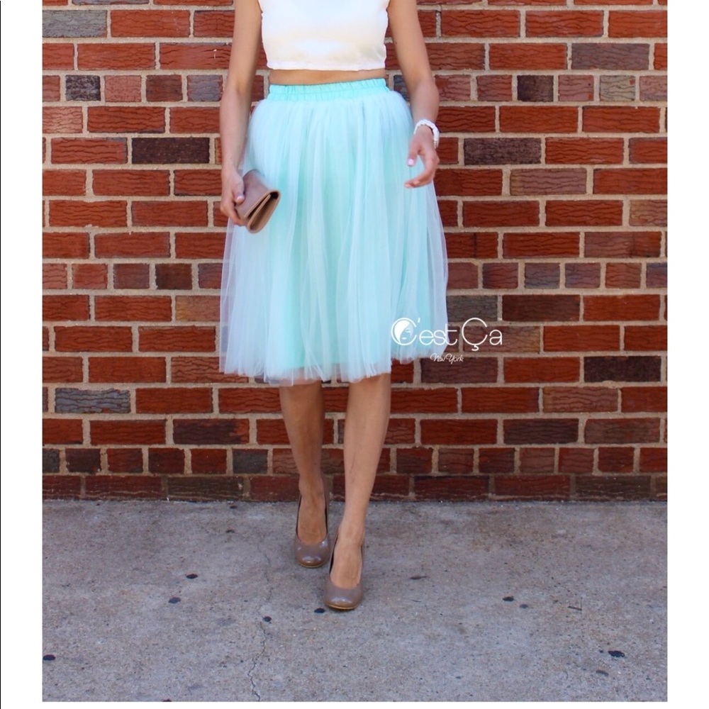 Mint Green Tulle Skirt